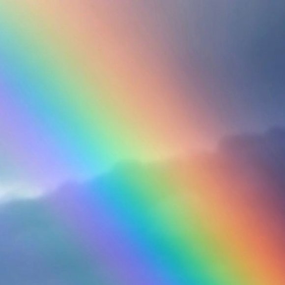 Meet your Posher, Eli - Picture 1 of 2